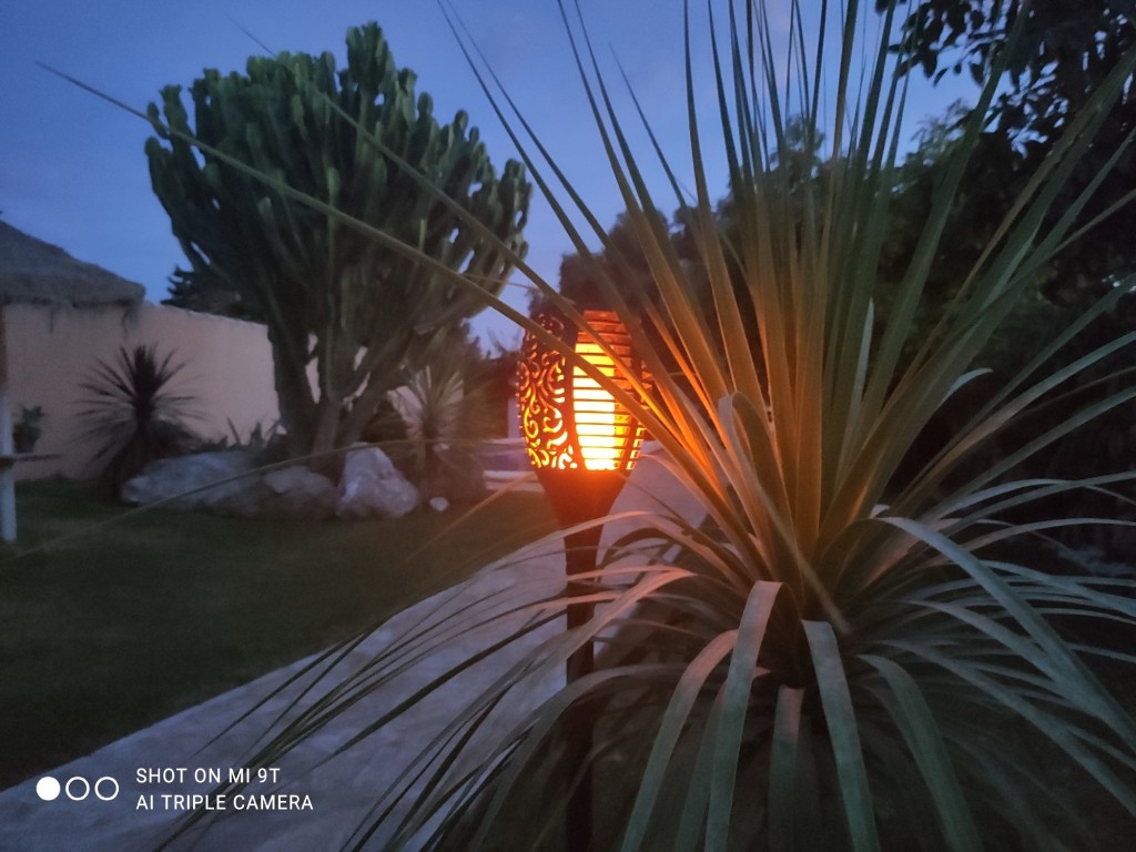 Foto: Casa rural El Chorrillo - Conil (Cádiz), España