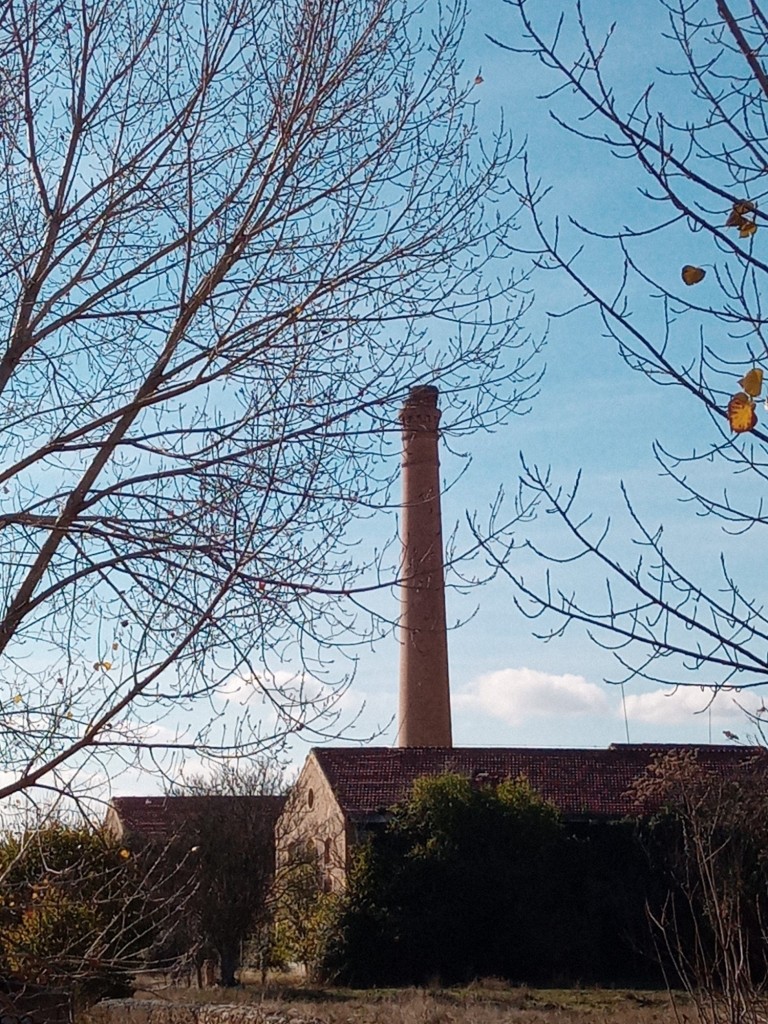 Foto: Antigua azucarera - Calatayud (Zaragoza), España