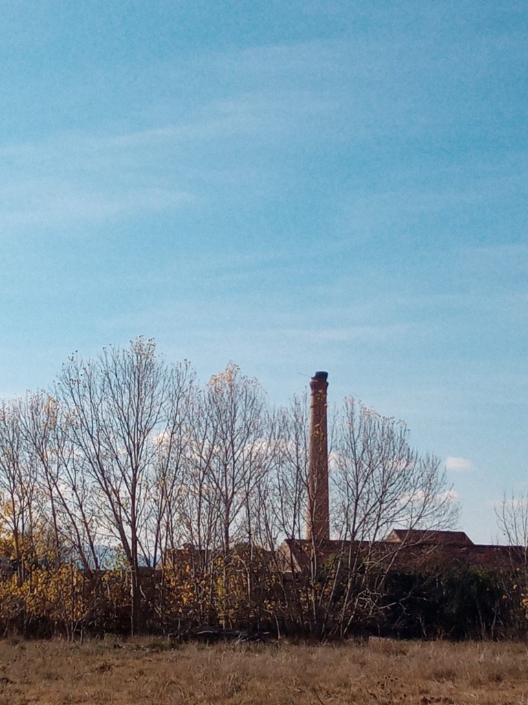 Foto: Antigua azucarera - Calatayud (Zaragoza), España
