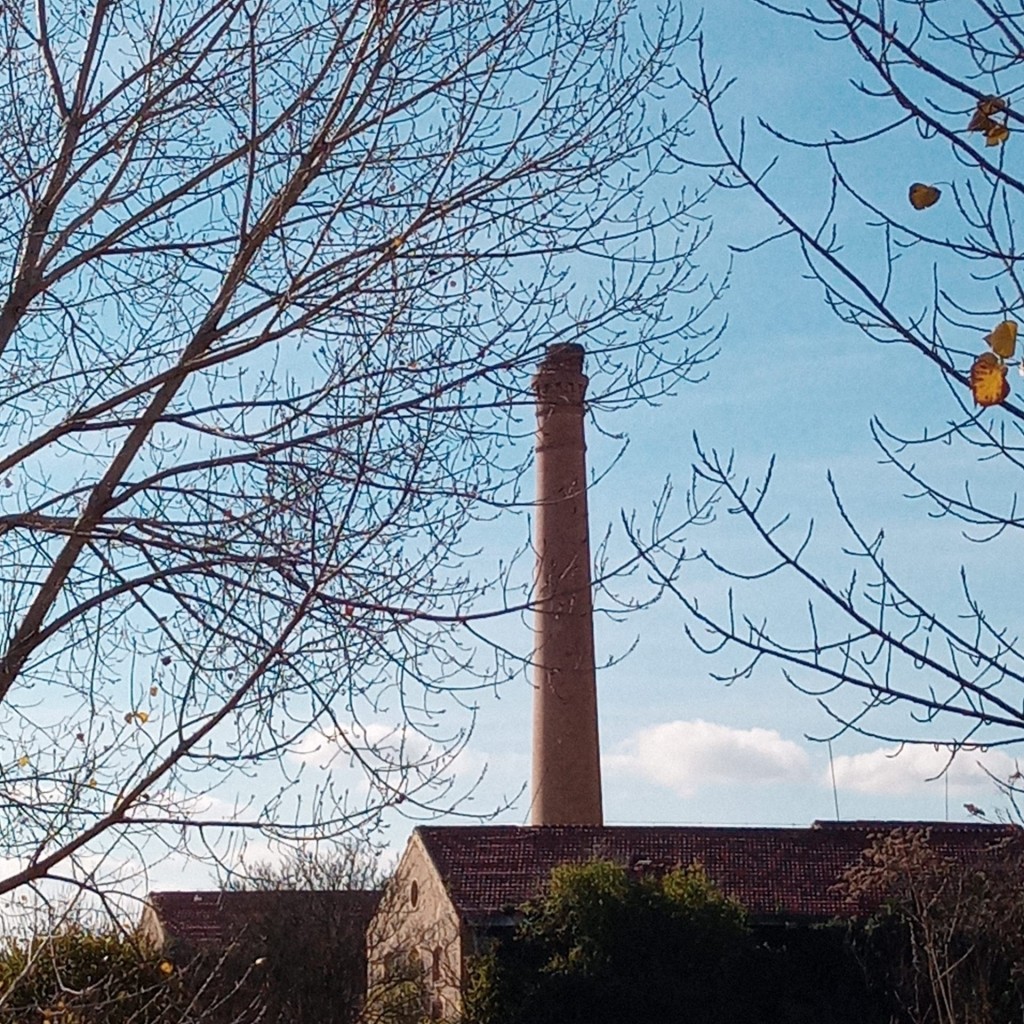 Foto: Antigua azucarera - Calatayud (Zaragoza), España