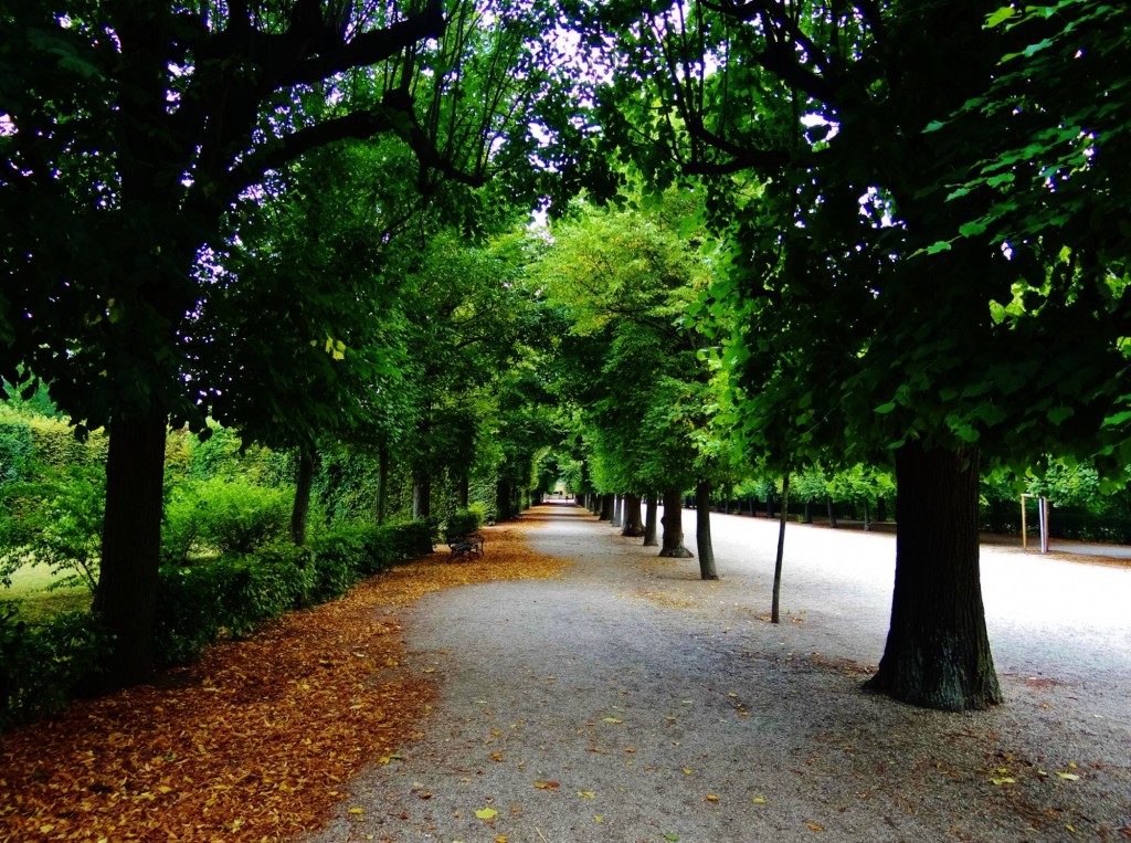 Foto: Schloss Schönbrunn - Wien (Vienna), Austria
