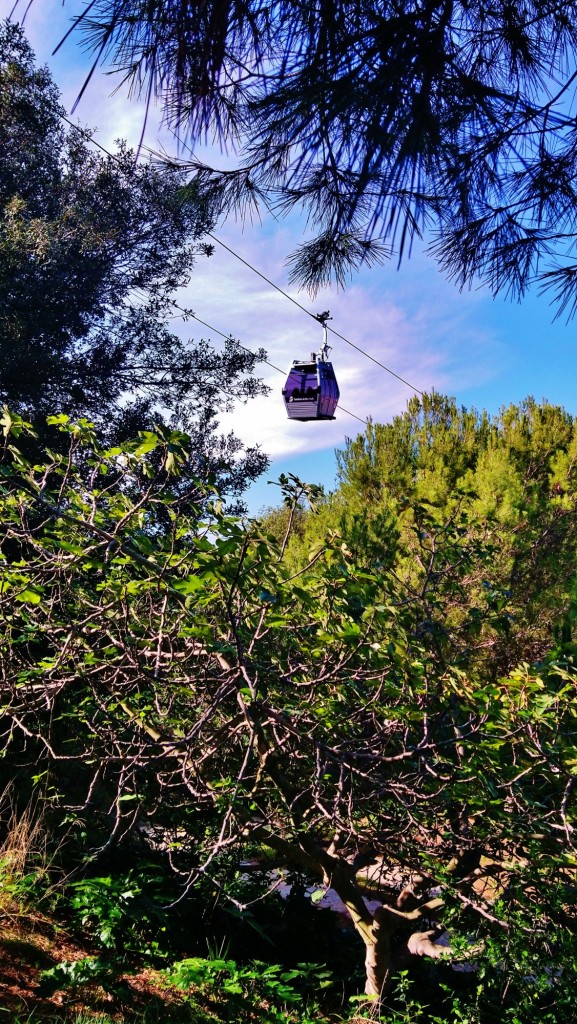 Foto: Mirador de l'Antic Teatre del Parc d'Atraccions - Barcelona (Cataluña), España