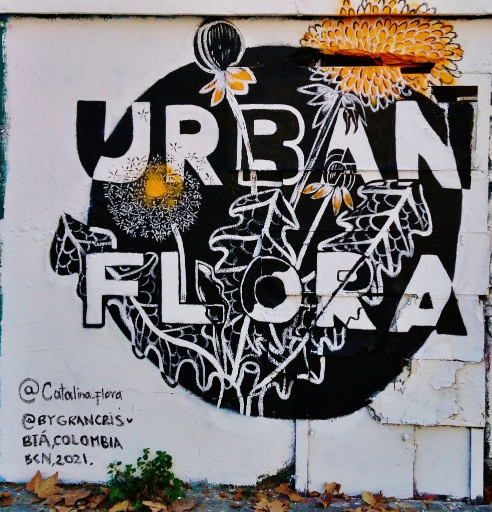 Foto: Grafitti Urbano - Barcelona (Cataluña), España