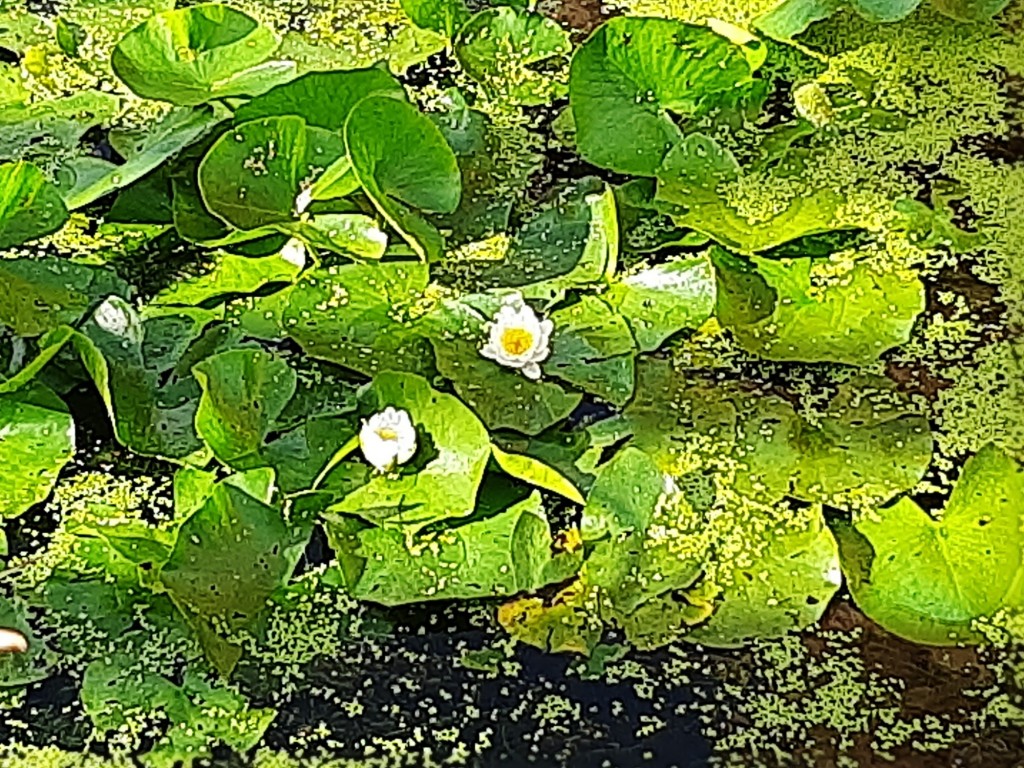 Foto: Oceanográfico - Valencia (València), España
