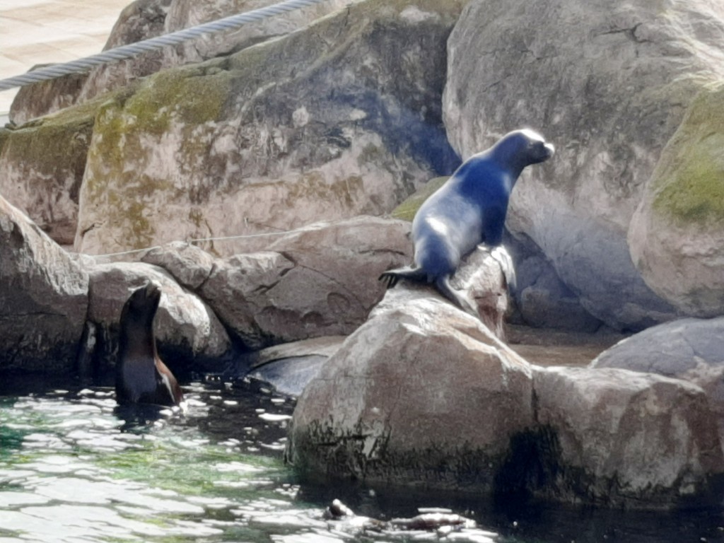Foto: Oceanográfico - Valencia (València), España