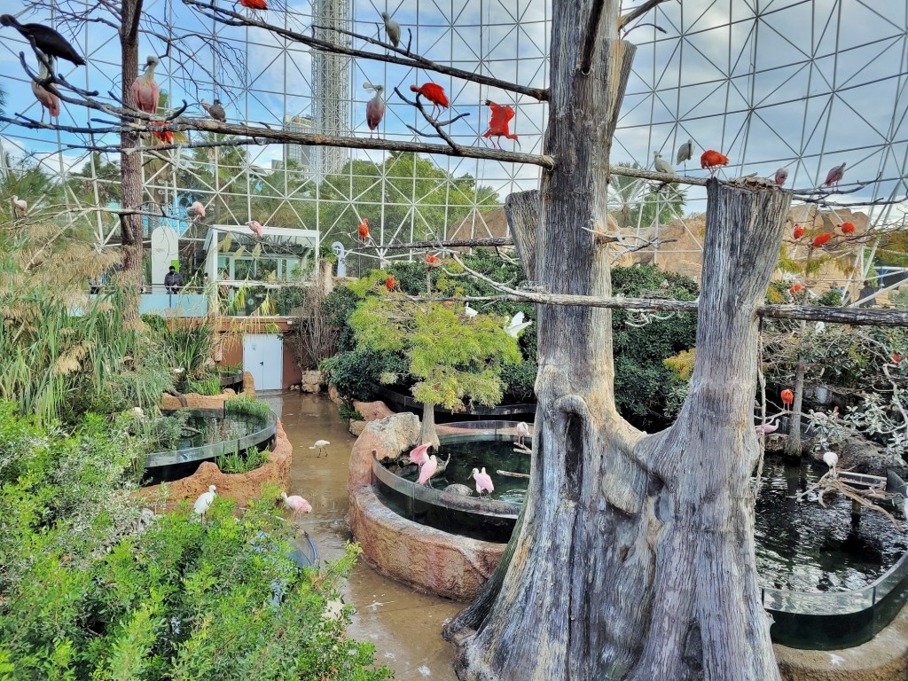 Foto: Oceanográfico - Valencia (València), España