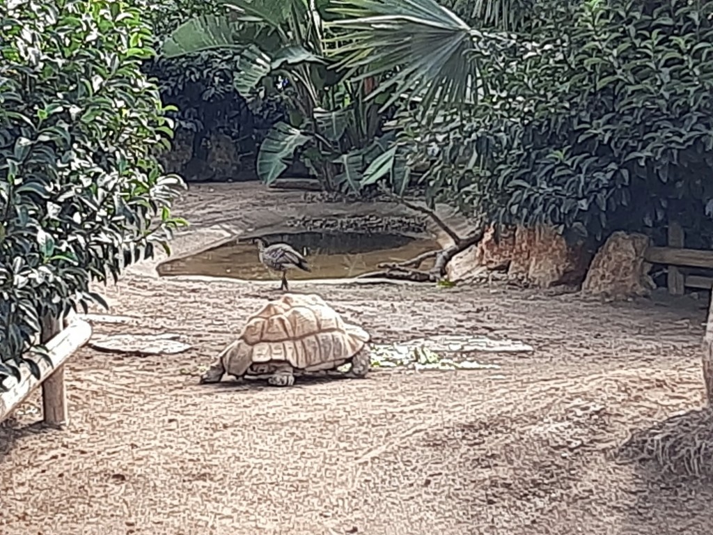 Foto: Oceanográfico - Valencia (València), España