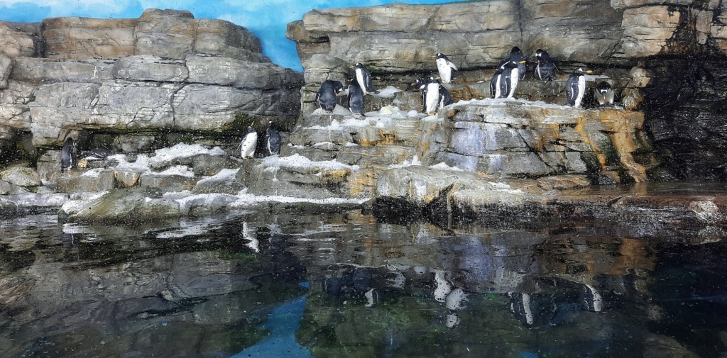 Foto: Oceanográfico - Valencia (València), España
