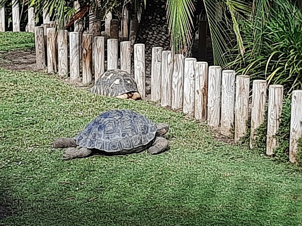 Foto: Oceanográfico - Valencia (València), España