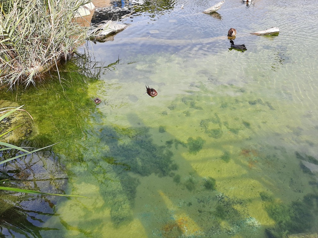 Foto: Oceanográfico - Valencia (València), España