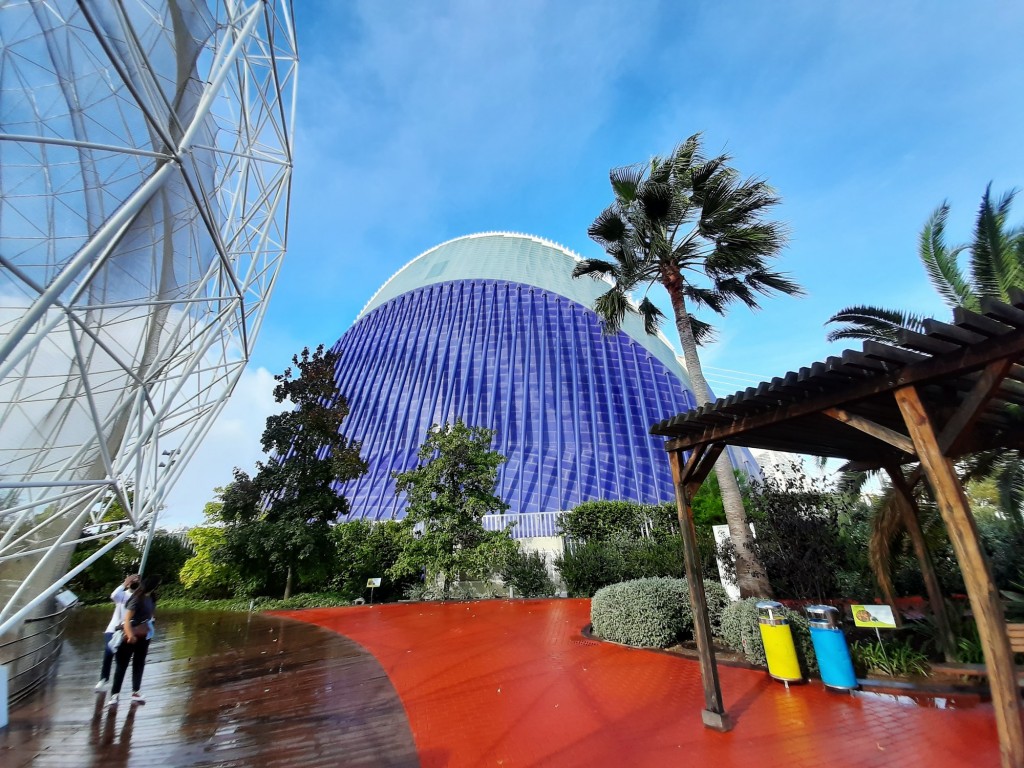 Foto: Oceanográfico - Valencia (València), España