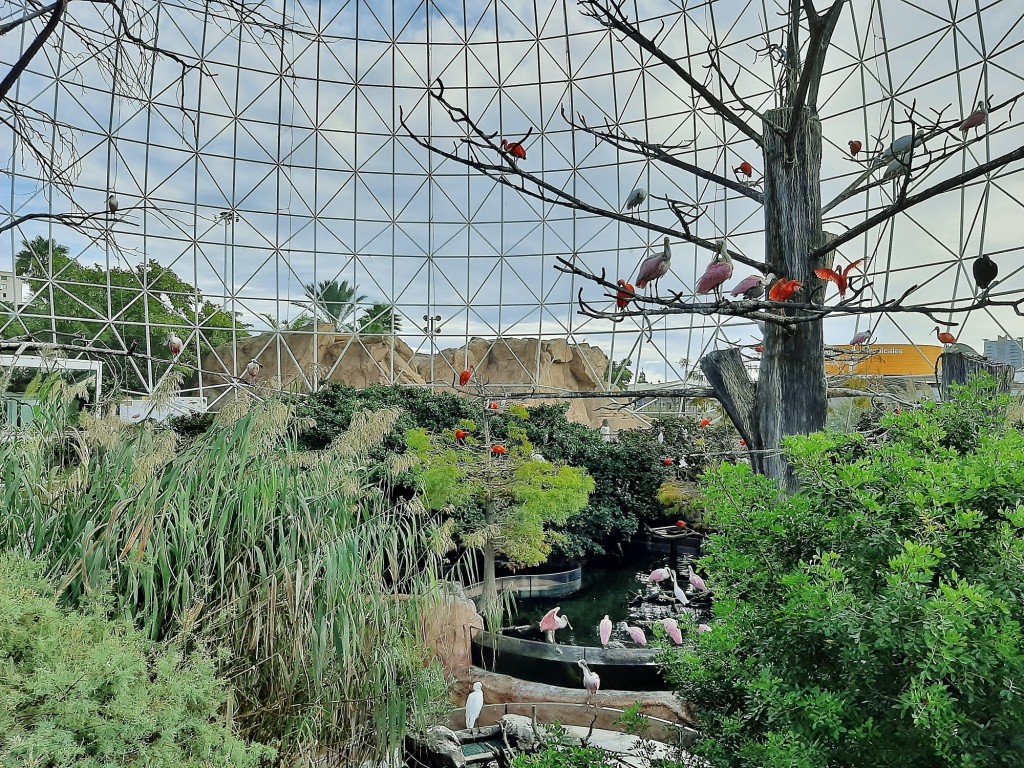 Foto: Oceanográfico - Valencia (València), España