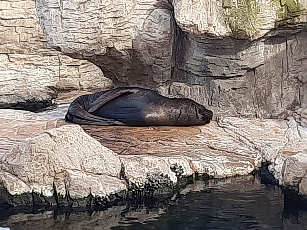 Foto: Oceanográfico - Valencia (València), España