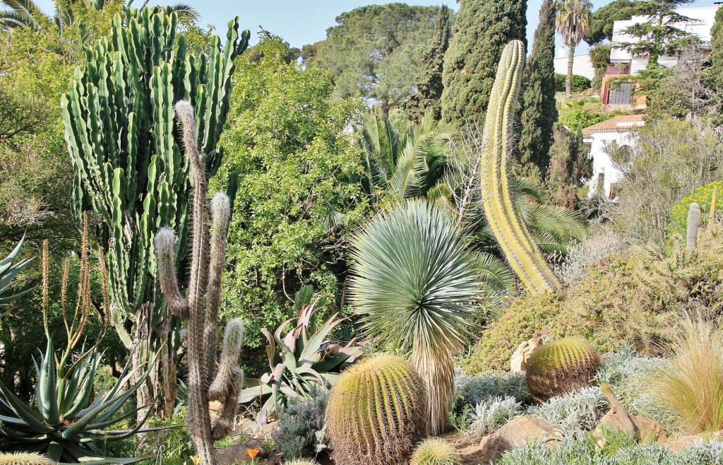 Foto: Jardín Botánico - Blanes (Girona), España