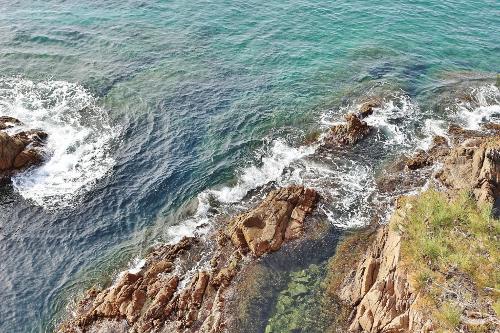 Foto: Jardín Botánico - Blanes (Girona), España