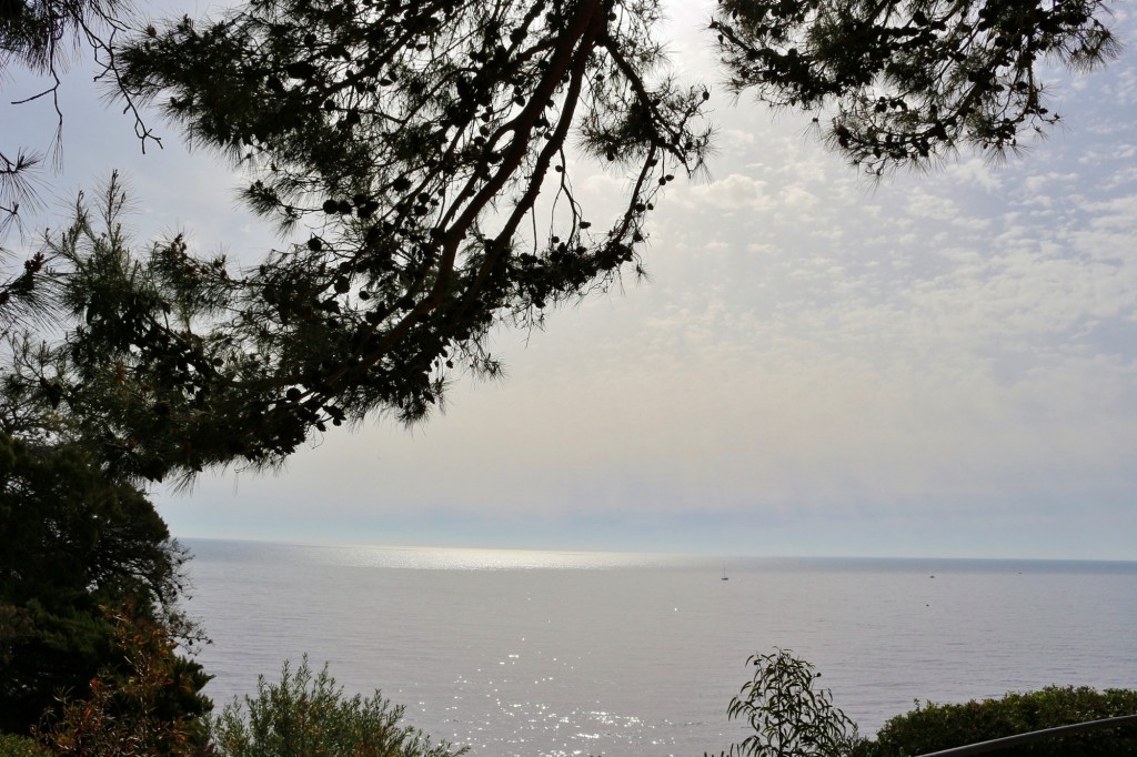 Foto: Jardín Botánico - Blanes (Girona), España