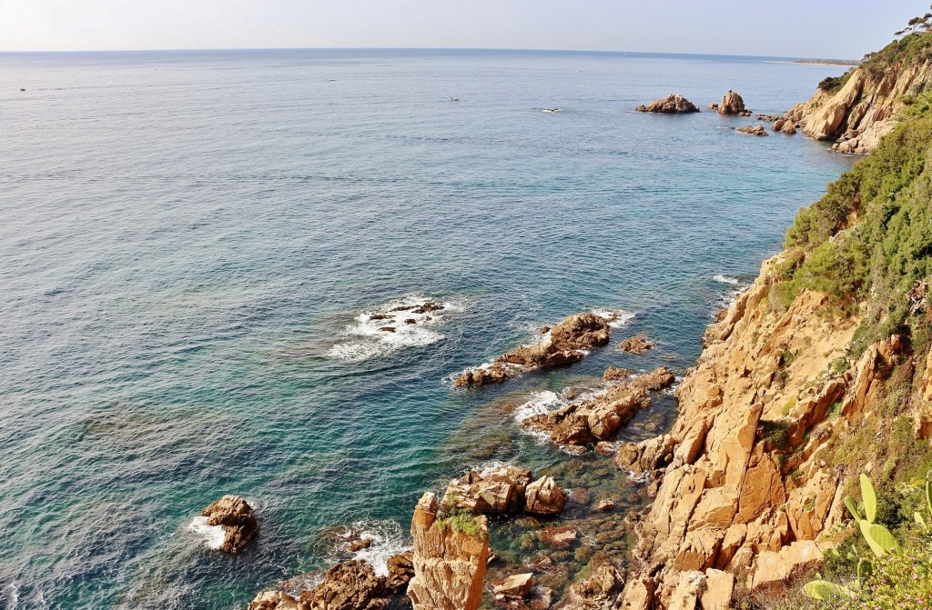Foto: Jardín Botánico - Blanes (Girona), España