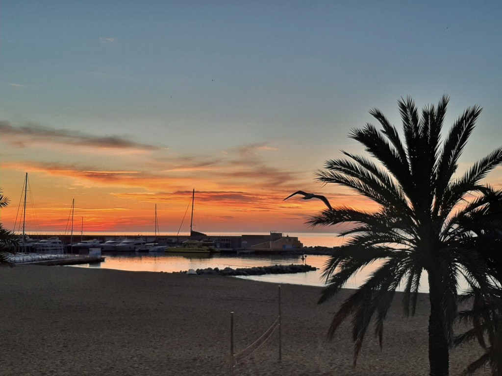 Foto: Amanecer - Barcelona (Cataluña), España