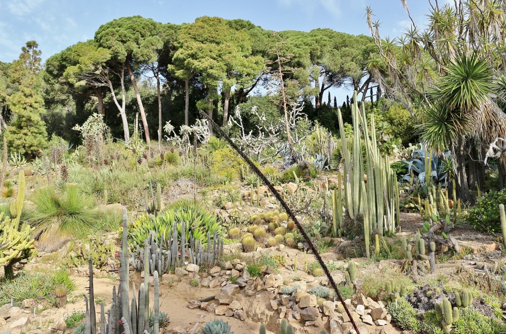 Foto: Jardín Botánico - Blanes (Girona), España