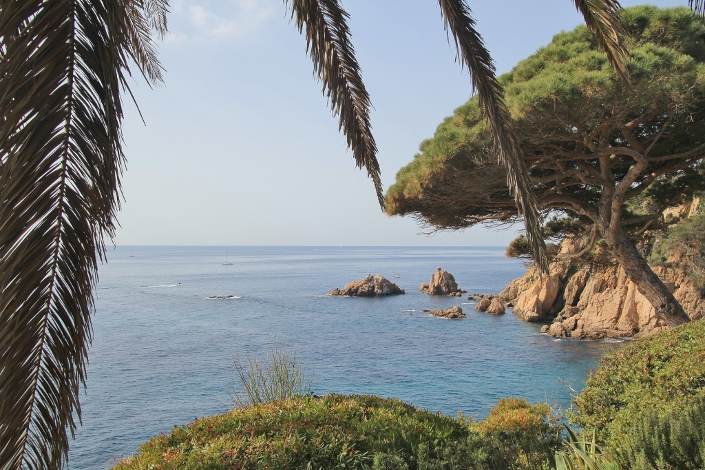 Foto: Jardín Botánico - Blanes (Girona), España