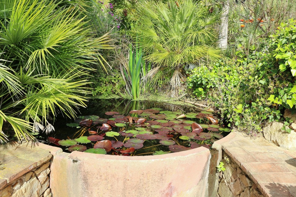 Foto: Jardín Botánico - Blanes (Girona), España