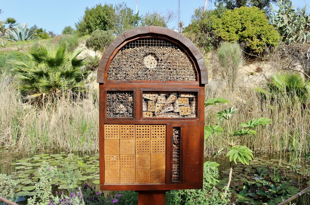 Foto: Jardín Botánico - Blanes (Girona), España