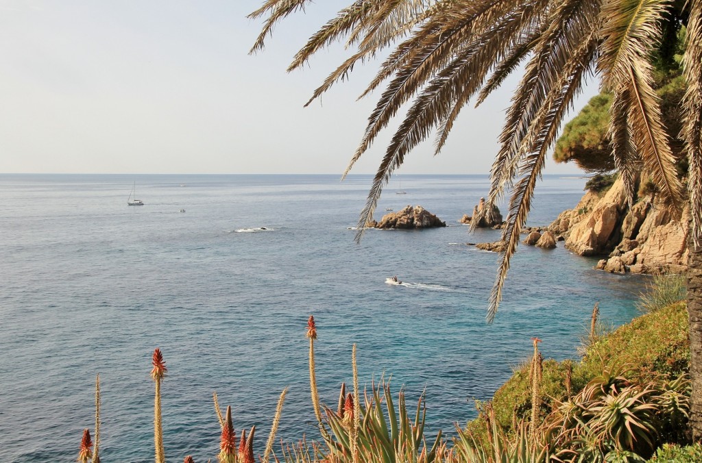 Foto: Jardín Botánico - Blanes (Girona), España