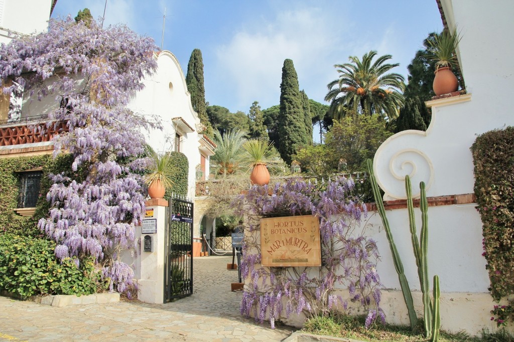 Foto: Jardín Botánico - Blanes (Girona), España