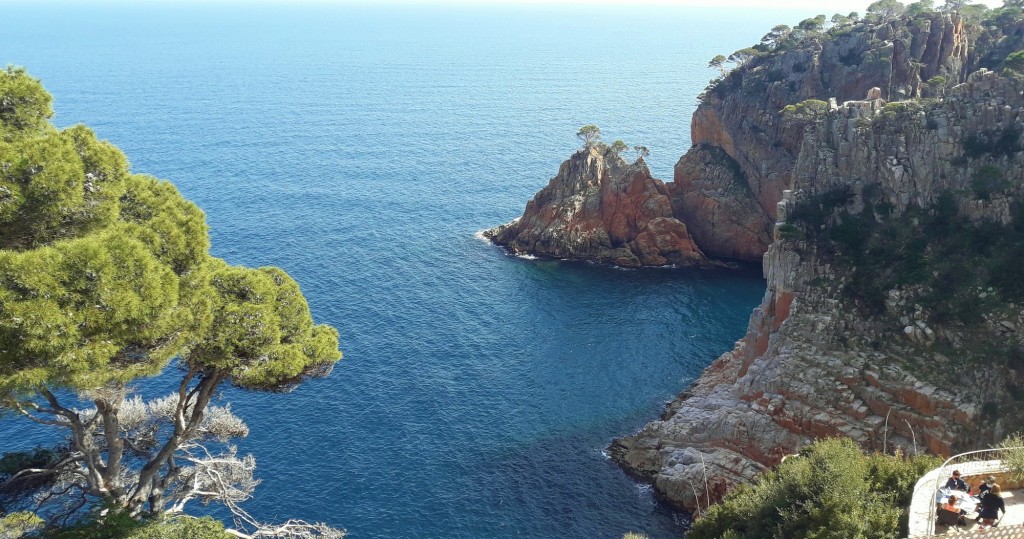 Foto: Punta des Mut - Begur (Girona), España