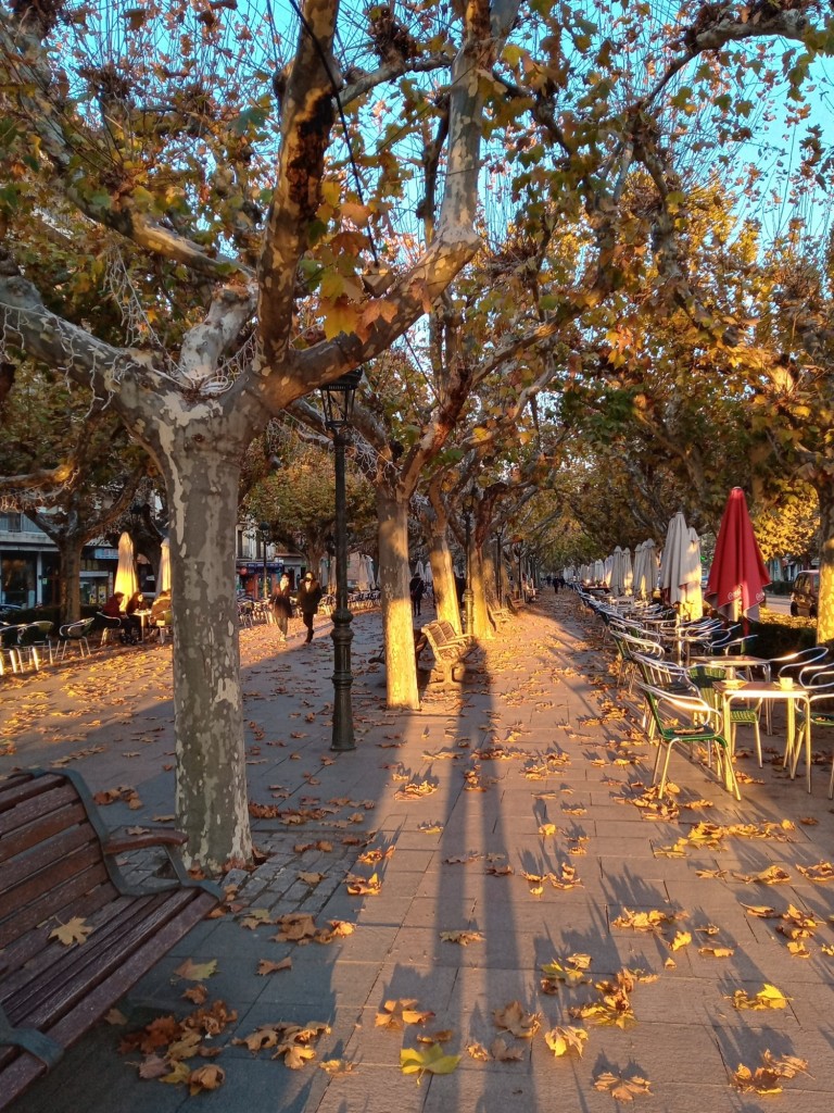 Foto: Paseo Cortes de Aragón - Calatayud (Zaragoza), España