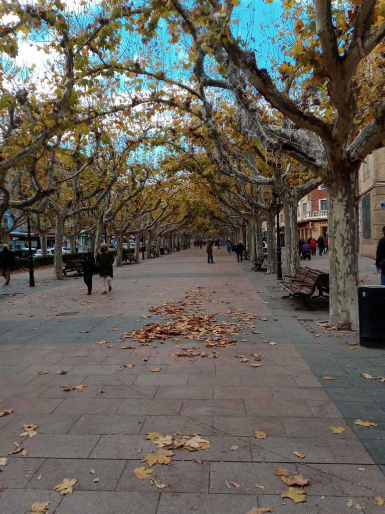 Foto: Paseo Cortes de Aragón - Calatayud (Zaragoza), España