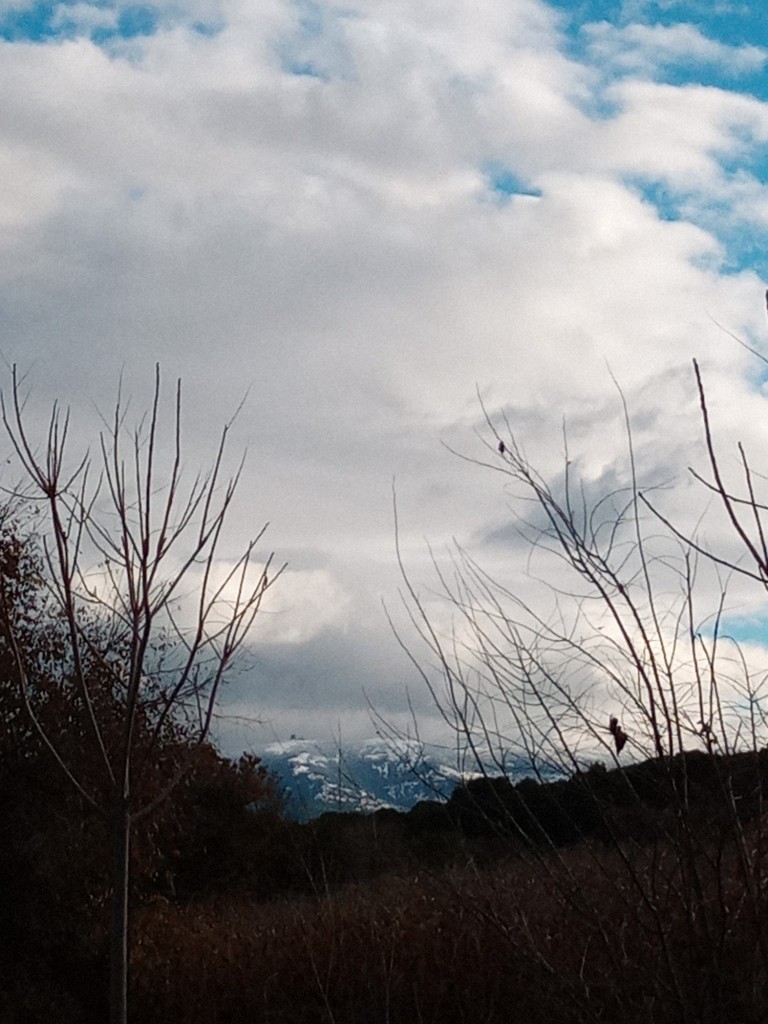 Foto: Sierra Vicort - Calatayud (Zaragoza), España