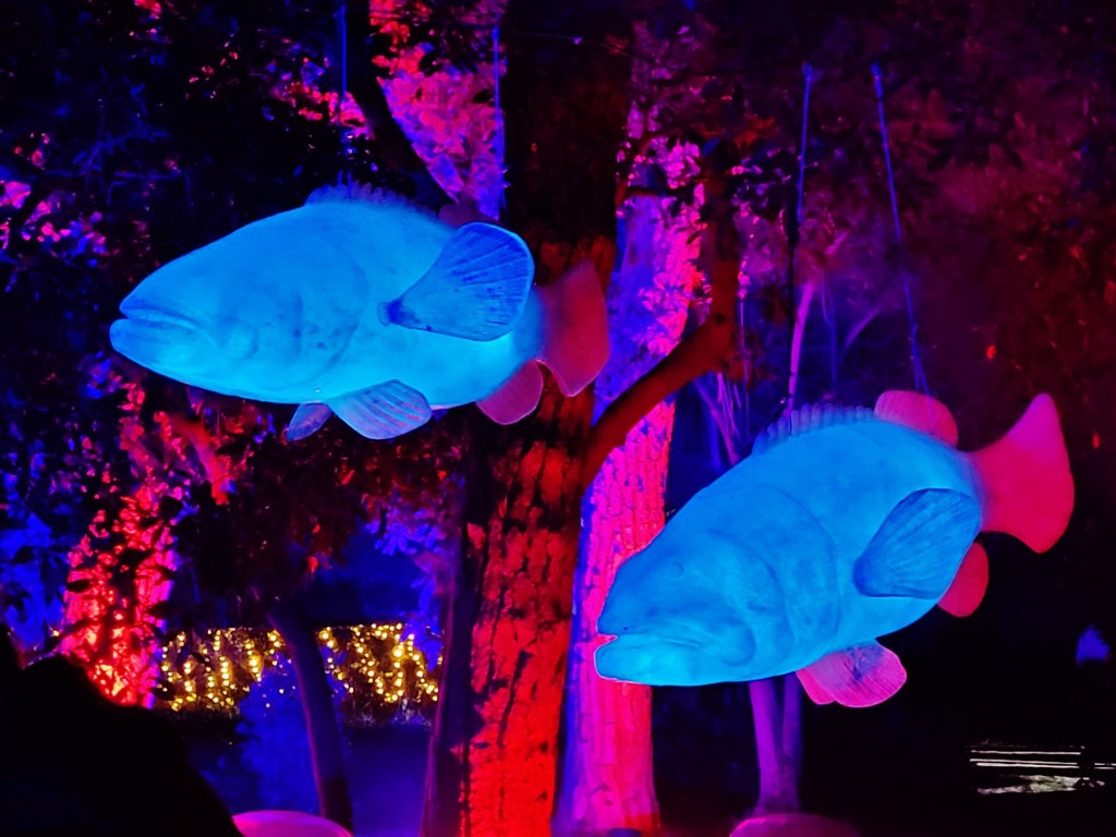 Foto: Espectáculo de luces - Barcelona (Cataluña), España