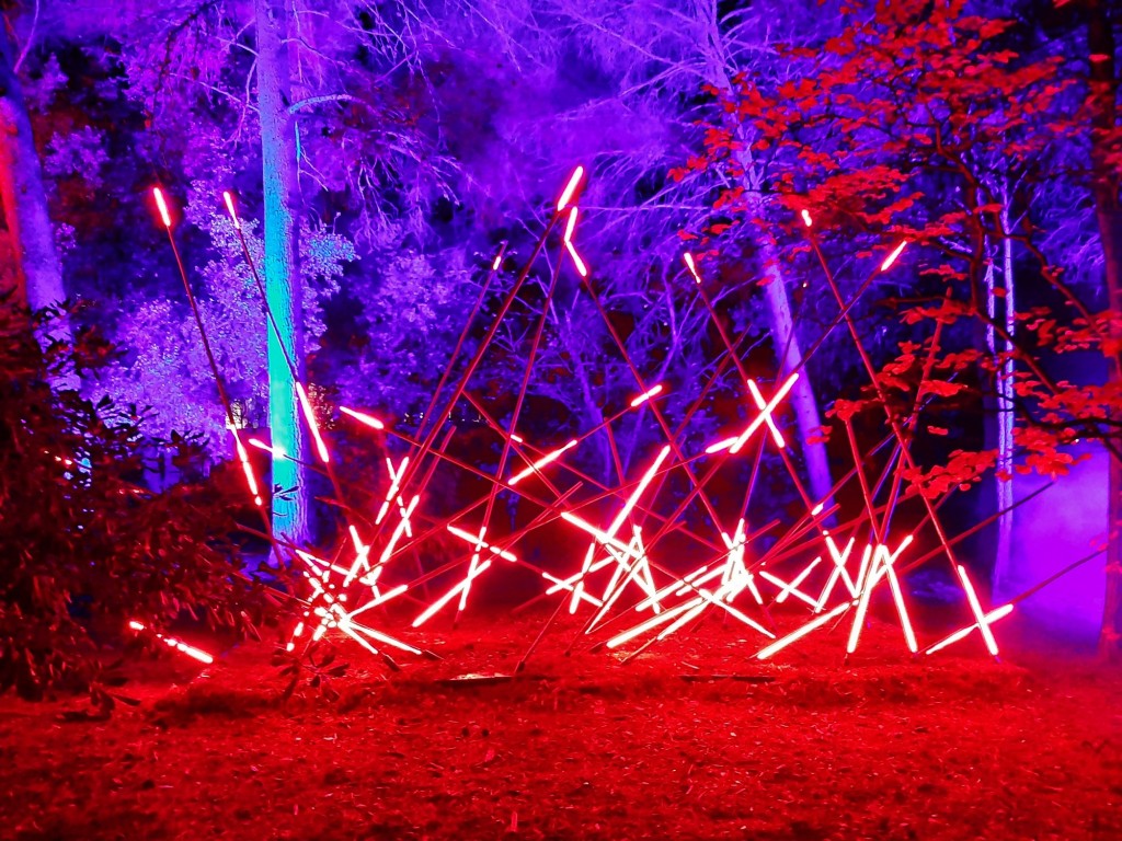 Foto: Espectáculo de luces - Barcelona (Cataluña), España
