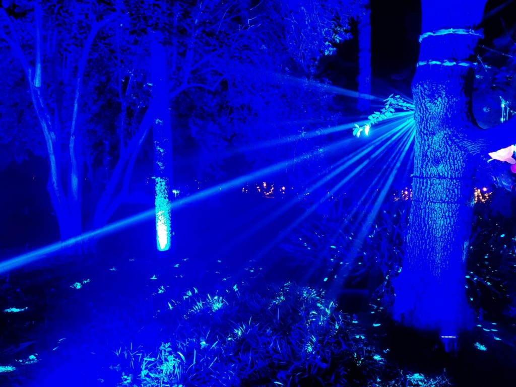 Foto: Espectáculo de luces - Barcelona (Cataluña), España