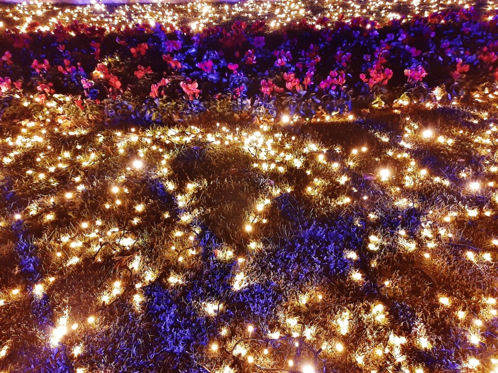 Foto: Espectáculo de luces - Barcelona (Cataluña), España