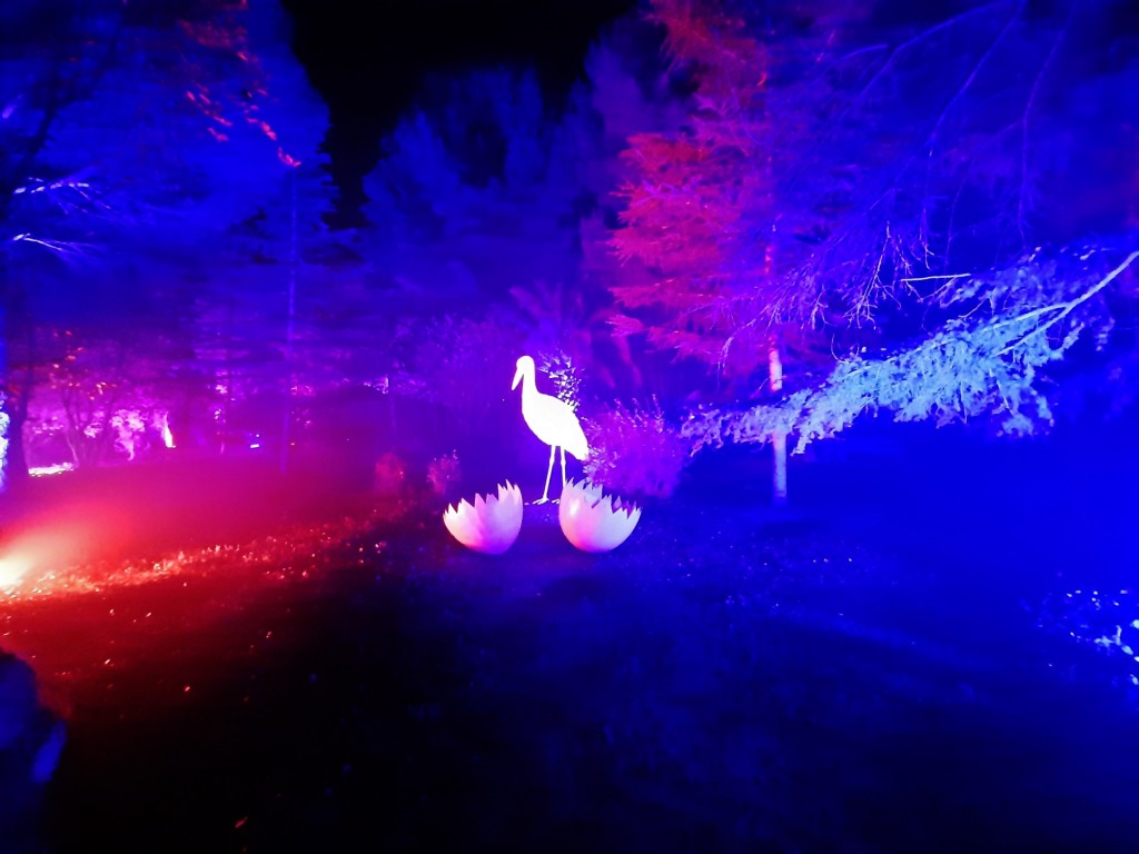 Foto: Espectáculo de luces - Barcelona (Cataluña), España