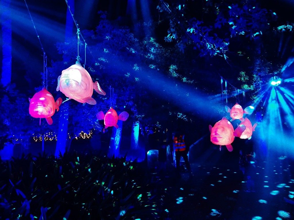 Foto: Espectáculo de luces - Barcelona (Cataluña), España