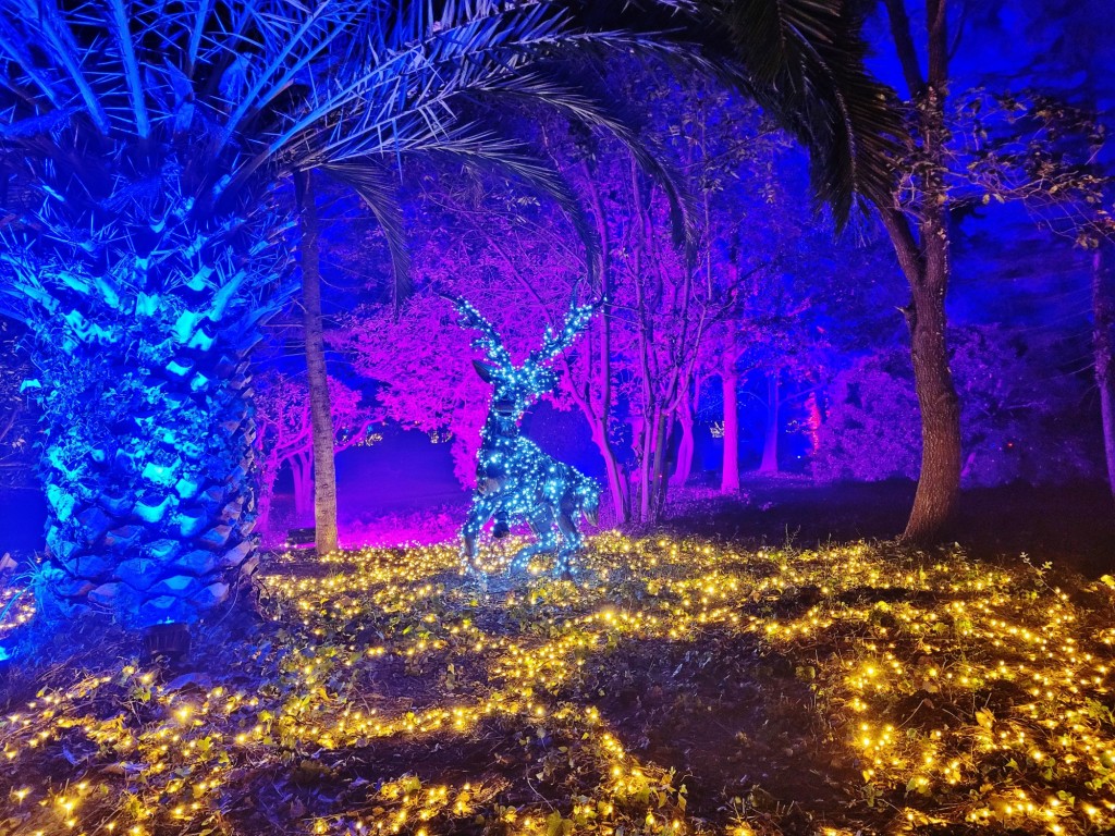 Foto: Espectáculo de luces - Barcelona (Cataluña), España