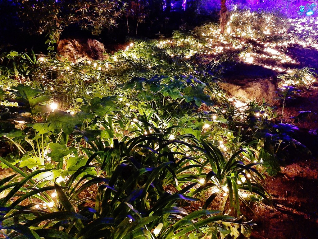 Foto: Espectáculo de luces - Barcelona (Cataluña), España