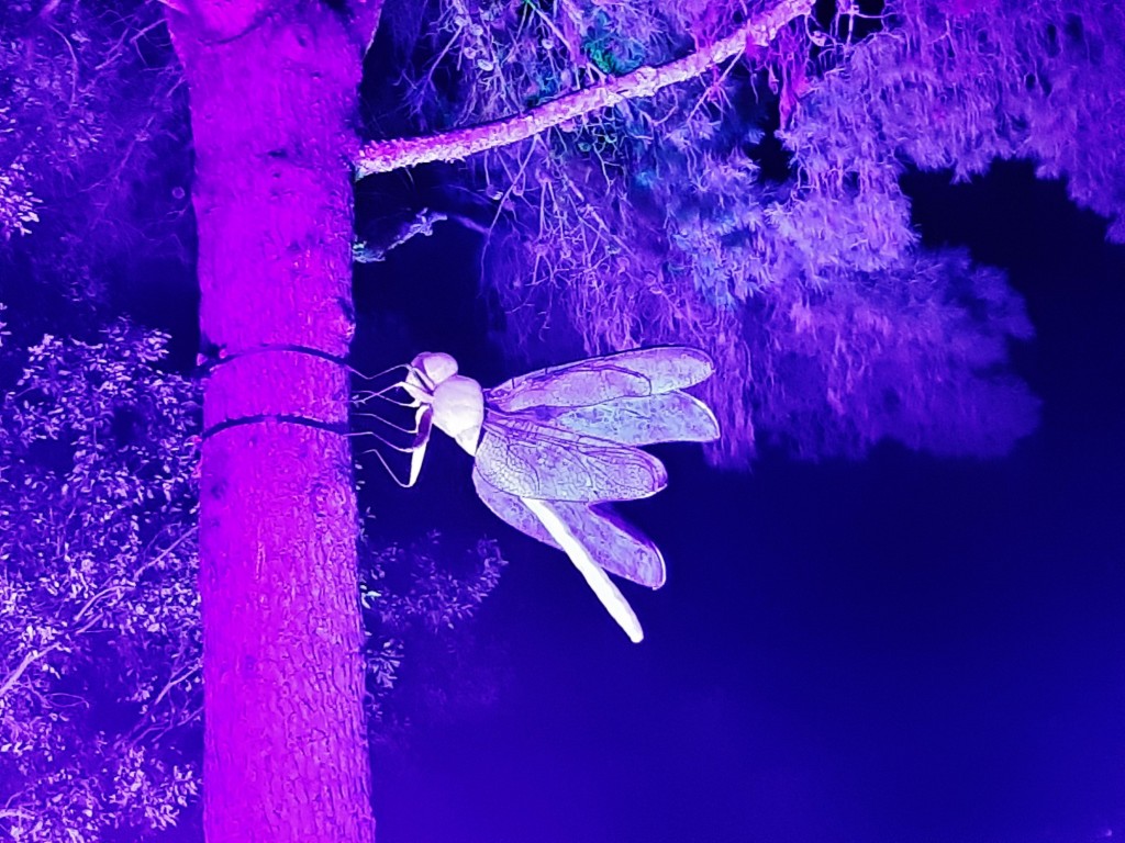 Foto: Espectáculo de luces - Barcelona (Cataluña), España