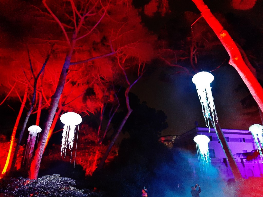 Foto: Espectáculo de luces - Barcelona (Cataluña), España