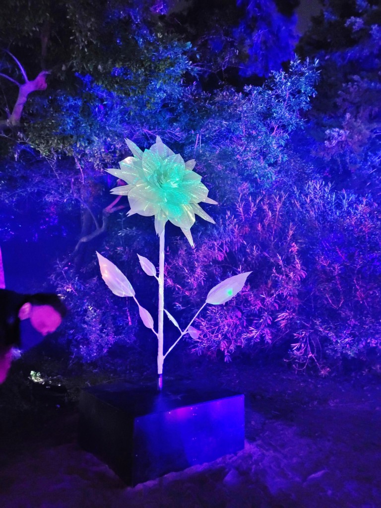 Foto: Espectáculo de luces - Barcelona (Cataluña), España