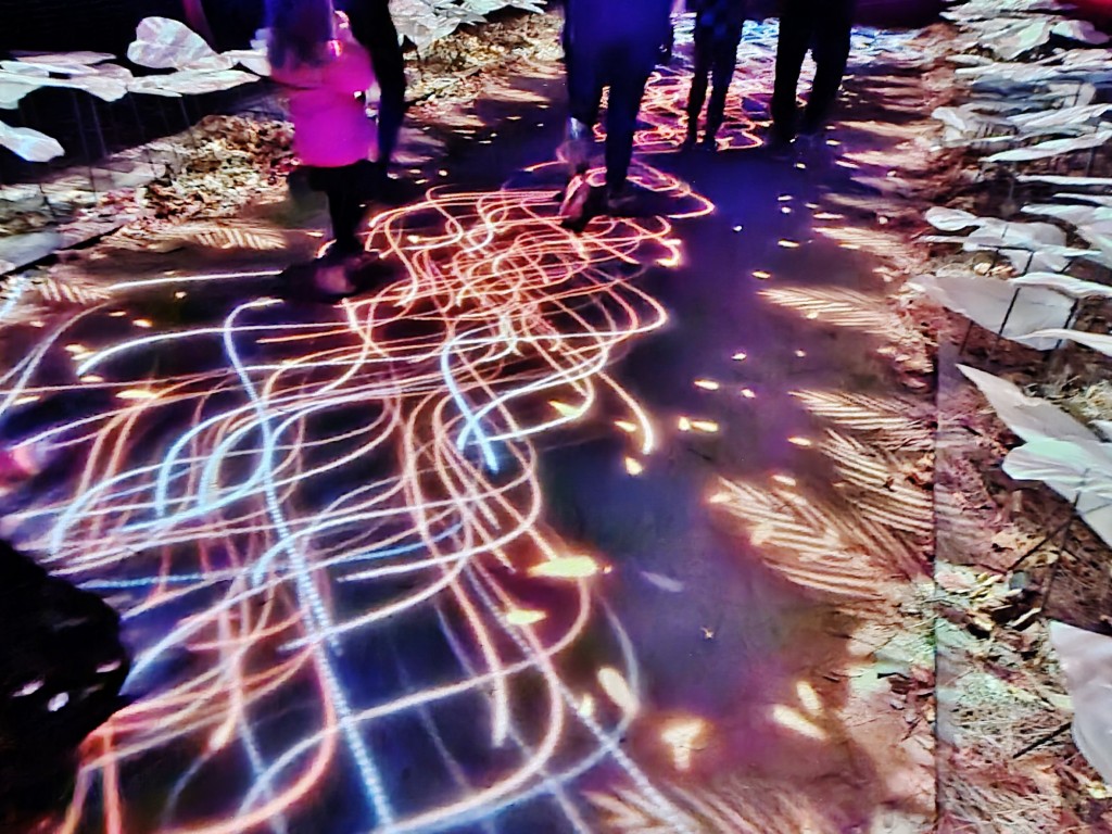 Foto: Espectáculo de luces - Barcelona (Cataluña), España