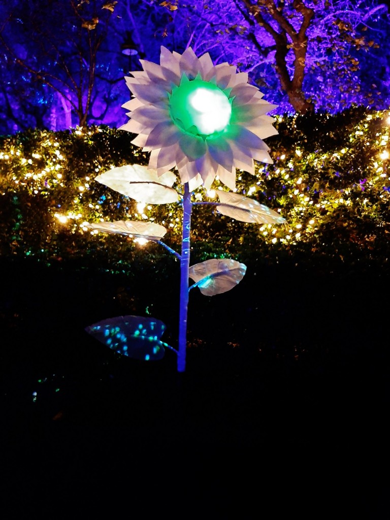 Foto: Espectáculo de luces - Barcelona (Cataluña), España