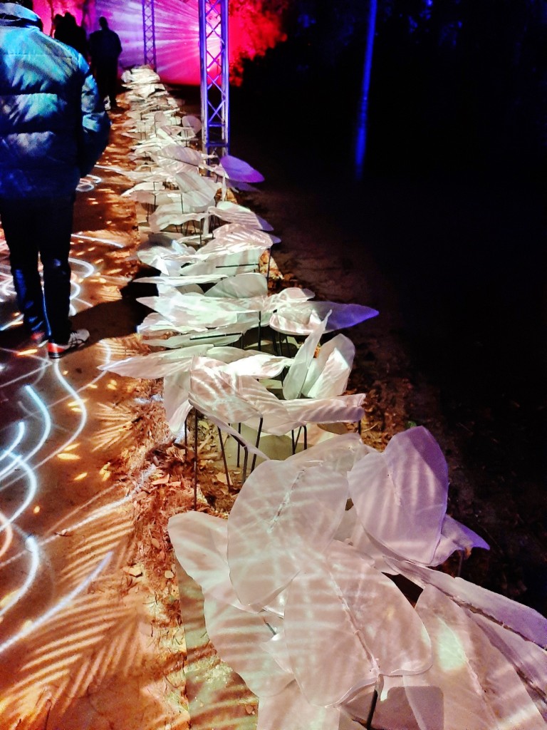 Foto: Espectáculo de luces - Barcelona (Cataluña), España