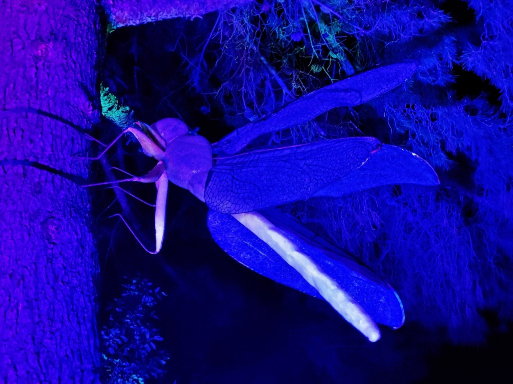 Foto: Espectáculo de luces - Barcelona (Cataluña), España