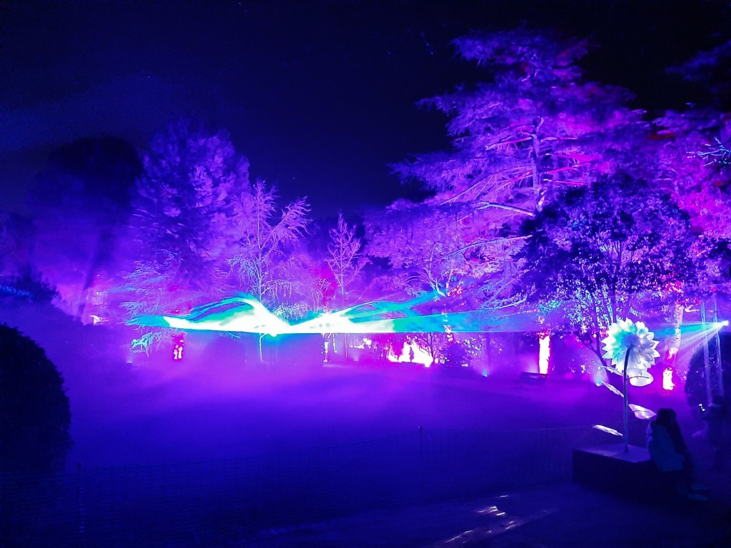 Foto: Espectáculo de luces - Barcelona (Cataluña), España