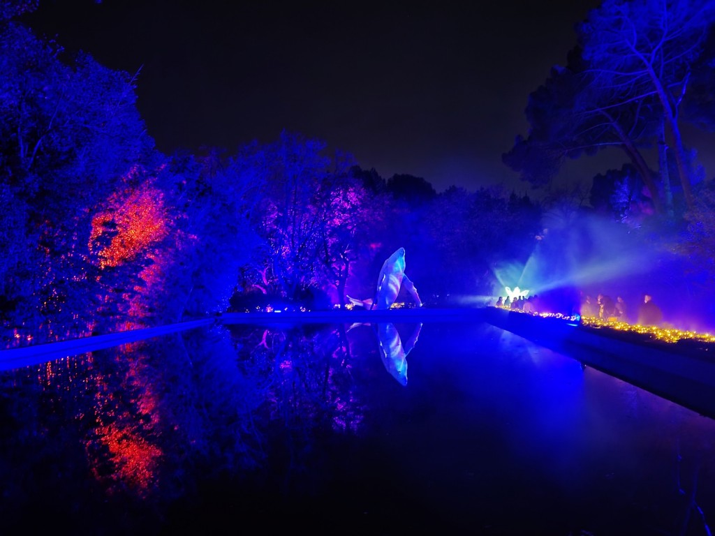 Foto: Espectáculo de luces - Barcelona (Cataluña), España