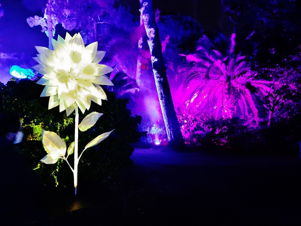 Foto: Espectáculo de luces - Barcelona (Cataluña), España